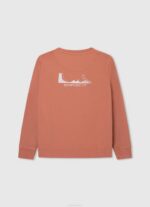 calabaza naranja jersey skater de algodón Pepe Jeans 06X41584 chico - Imagen 2